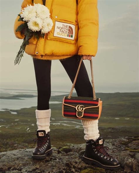 shop gucci north face